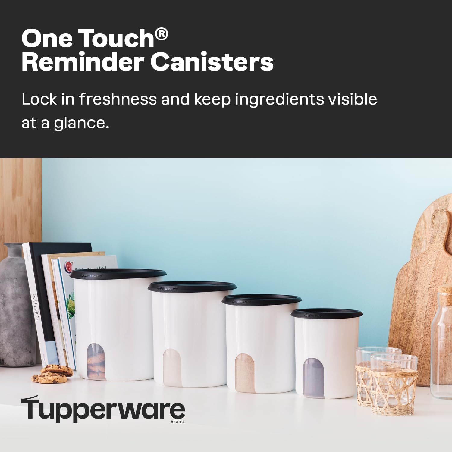 One Touch Reminder Canisters 4 - Food Storage Safe review and price