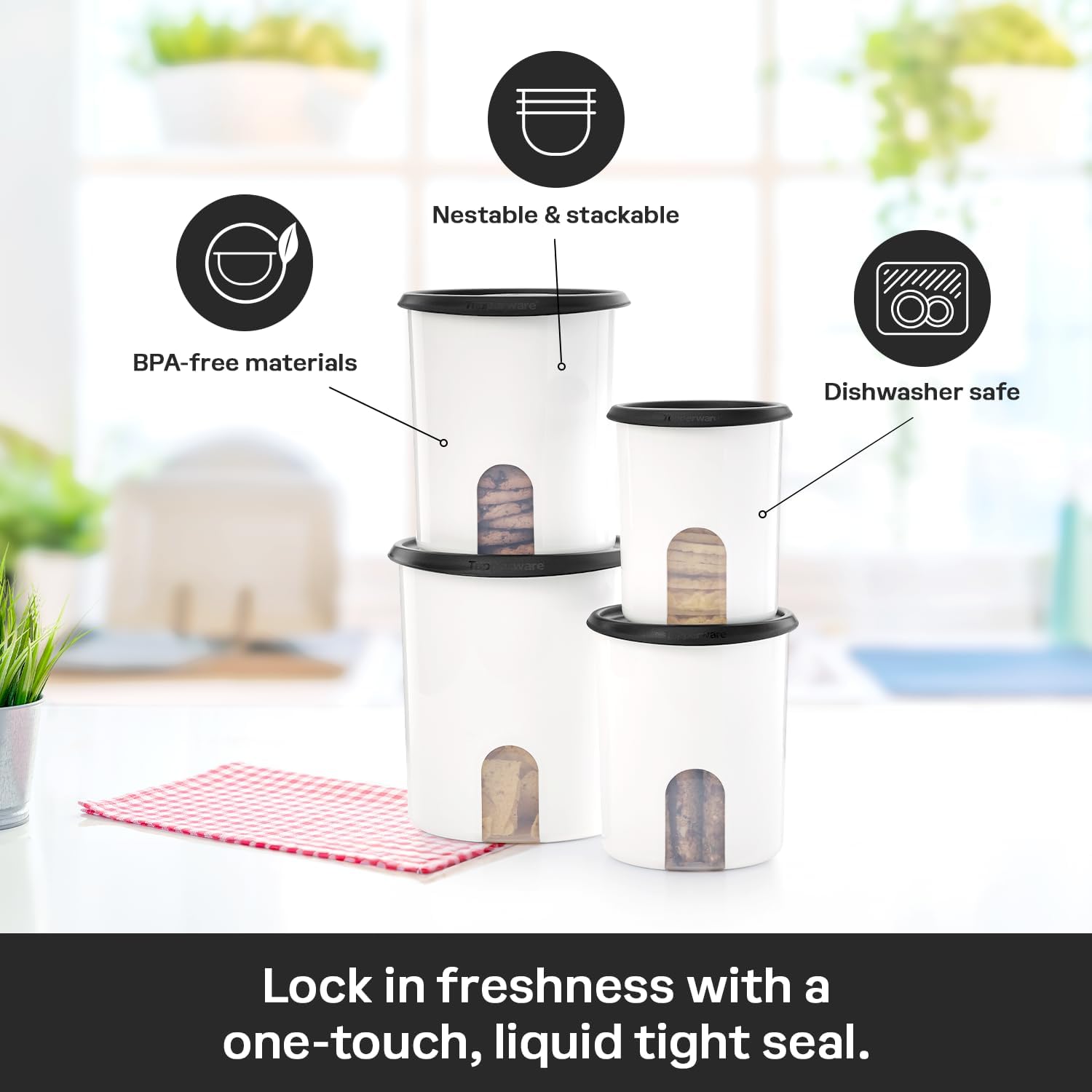 One Touch Reminder Canisters 4 - Food Storage Safe review and price