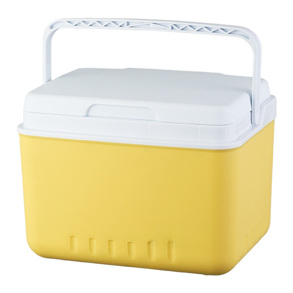 Portable 6L 15L Insulated Cool - Food Storage In Cooler review and price
