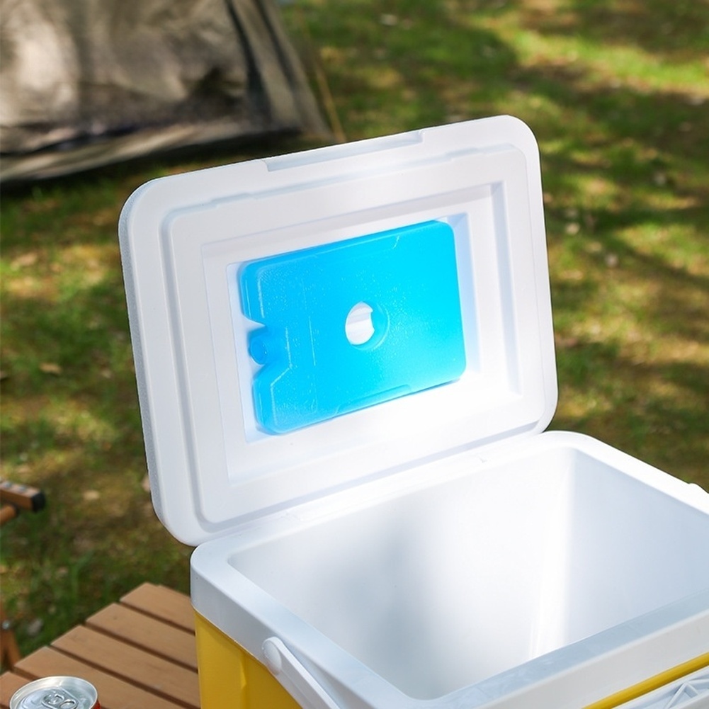Portable 6L 15L Insulated Cool - Food Storage In Cooler review and price