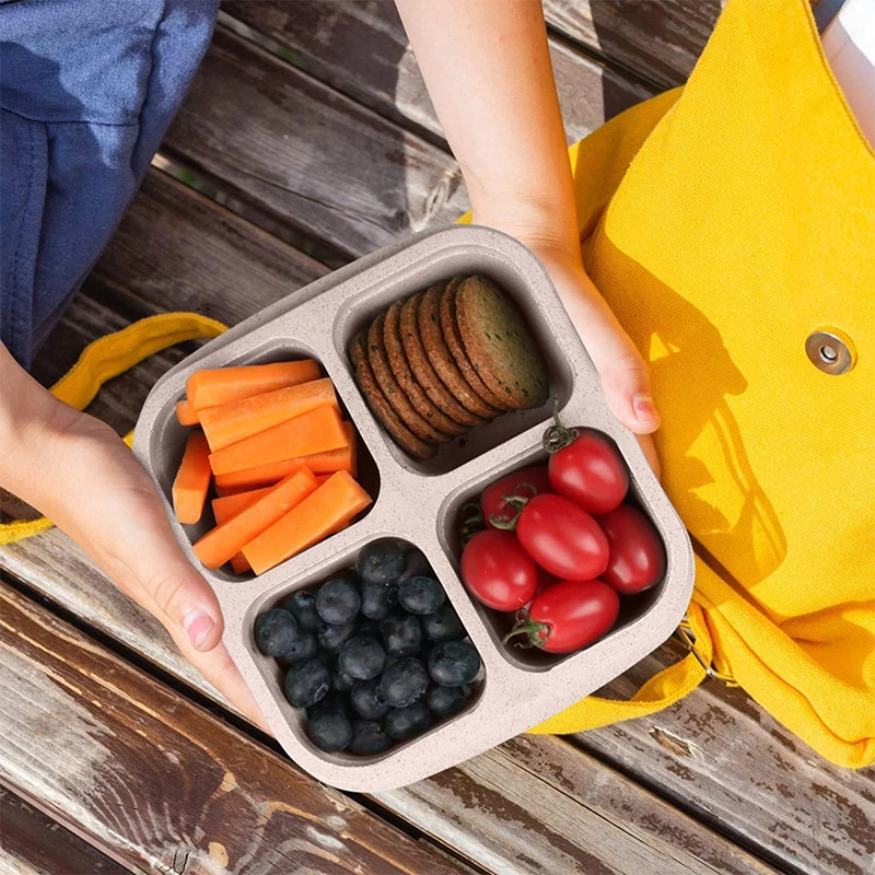 4 Grids Food Storage Box Porta - Food Storage Vegetables review and price