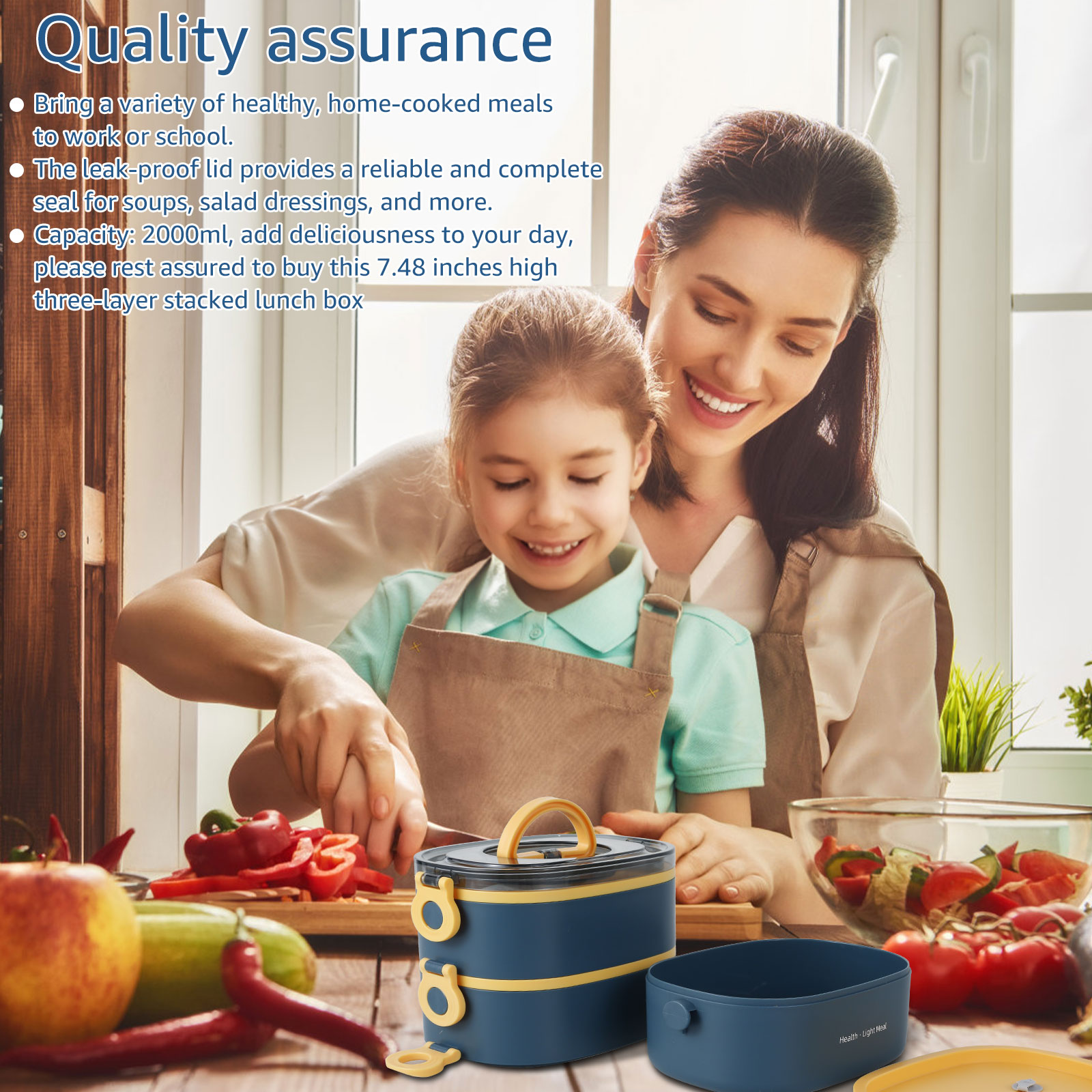 Portable adult lunch box 2000M - Food Storage To Keep Warm review and price